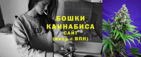 шишки Алексеевка