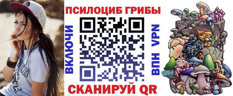 Галлюциногенные грибы Cubensis Балашиха